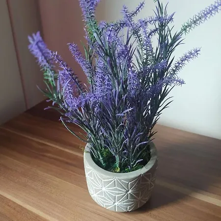 Kod Autobuske 아파트